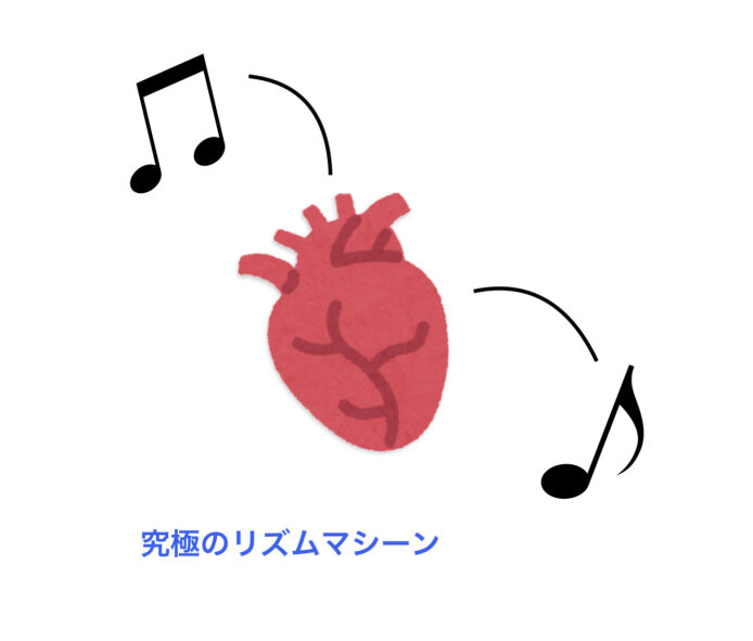 一定のリズムを刻む心臓