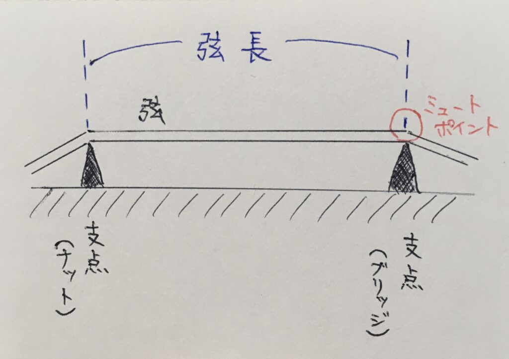 弦長の解説