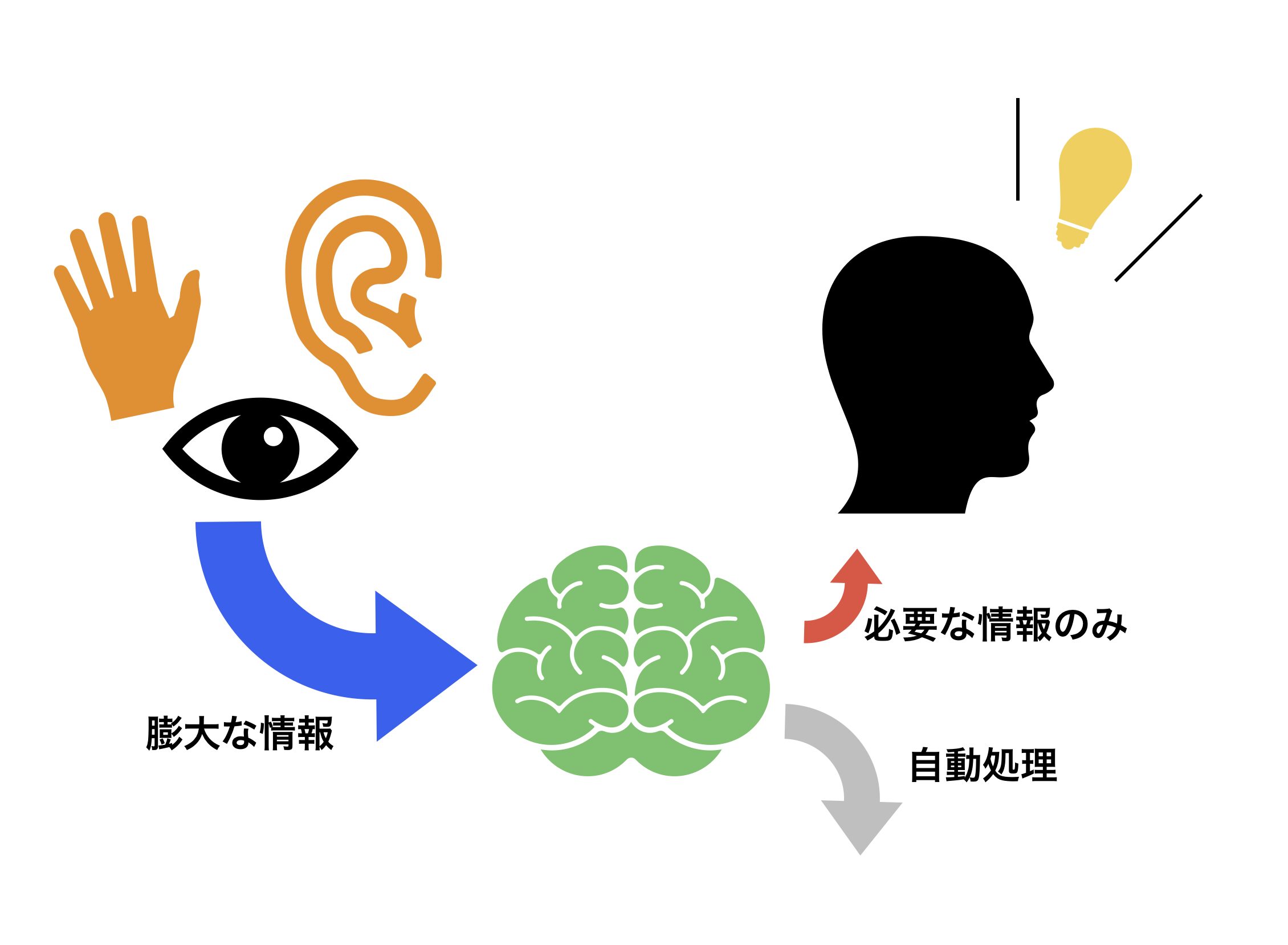 脳への情報の流れ